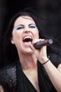 Amy Lee Royalty Free Stock Photo