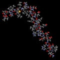 Amyloid beta (Abeta) peptide. Major component of plaques found in Alzheimer\'s disease. 3D rendering based on protein data bank