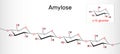 Amylose molecule. It is a polysaccharide and one of the two components of starch. Structural chemical formula Royalty Free Stock Photo