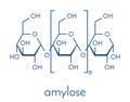 Amylose polysaccharide polymer, chemical structure. Component of starch in addition to amylopectin. Skeletal formula.