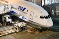 ANA All Nippon Airways Jet During Flight Preparation at Haneda A Royalty Free Stock Photo