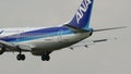 ANA B737-500 Landing to NARITA AIRPORT JAPAN