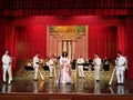 Ana Maria Donosa on stage at the Theater of the Magazine Constantin Tanase