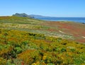 Anacapa bliss Royalty Free Stock Photo