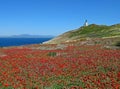 Anacapa lighthouse panorama Royalty Free Stock Photo