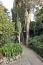 Anacapri - Vialetto del giardino di Villa San Michele