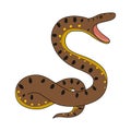 Anaconda Snake illustration vector