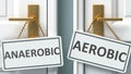 Anaerobic or aerobic as a choice in life - pictured as words Anaerobic, aerobic on doors to show that Anaerobic and aerobic are