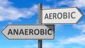 Anaerobic and aerobic as a choice - pictured as words Anaerobic, aerobic on road signs to show that when a person makes decision