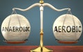 Anaerobic and aerobic staying in balance - pictured as a metal scale with weights and labels anaerobic and aerobic to symbolize