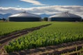 anaerobic digestion tanks with biogas production