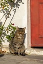 Anafiotika, scenic tiny neighborhood of Athens, part of the old historical district Plaka, narrow streets, Athens, Greece