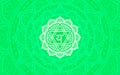 Anahata, heart chakra symbol. Colorful mandala. Vector illustration