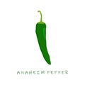 anaheim pepper flat design vector illustration. Capsicum annuum anaheim chili