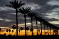 Anaheim Sunset