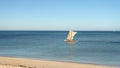 Anakao, Madagascar - May 03, 2019: Calm sea with piroga - traditional wooden fishing boat used on this African island, more boats