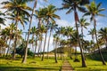 Anakena beach and Ahu Nau Nau on Easter Island