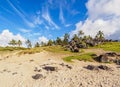 Landscape of Anakena on Easter Island, Chile Royalty Free Stock Photo