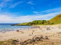 Landscape of Anakena on Easter Island, Chile Royalty Free Stock Photo