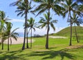 Anakena beach, Easter island Royalty Free Stock Photo