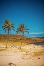 Anakena, a white coral sand beach Royalty Free Stock Photo