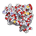 Anakinra rheumatoid arthritis drug, molecular structure. Recombinant form of human interleukin-1 (IL-1) receptor antagonist