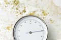 hygrometer high humidity mold wall Royalty Free Stock Photo