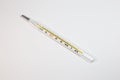 Analog mercury thermometer
