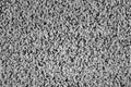 Analog TV CRT kinescope noise Ã¯Â¿Â½ black & white Royalty Free Stock Photo