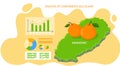 Analysis of components jeju island, poster with statistics of tourists visiting mandarine plantation