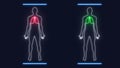 Analysis of Human Body Anatomy Scan Lunges Breast