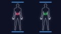 Analysis of Human Male Anatomy Scan on Futuristic Touch Screen Interface showing bones, organs, and neural network Royalty Free Stock Photo
