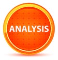 Analysis Natural Orange Round Button Royalty Free Stock Photo