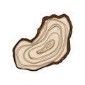 analysis tree rings cartoon vector illustration Royalty Free Stock Photo