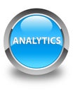 Analytics glossy cyan blue round button Royalty Free Stock Photo