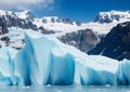 Analyze the impact of climate change on glaciers, emphasizing their role in regulating global sea levels.*