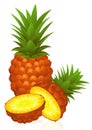 Ananas Royalty Free Stock Photo