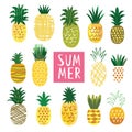 Ananas Collection Royalty Free Stock Photo