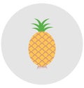 Ananas, fruit Isolated Color Vector Icon that can be easily modified or edit. Royalty Free Stock Photo