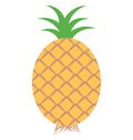 Ananas, fruit Isolated Color Vector Icon that can be easily modified or edit. Royalty Free Stock Photo