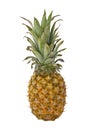 Ananas isolated