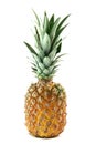Ananas isolated