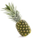 Ananas isolated