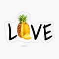 Ananas lover. Hand lettering Vector. Poly art.