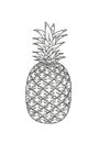 Ananas, sketch