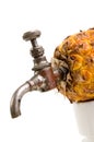 Ananas with tap Royalty Free Stock Photo