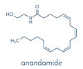 Anandamide endogenous cannabinoid neurotransmitter molecule. Skeletal formula.