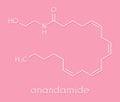 Anandamide endogenous cannabinoid neurotransmitter molecule. Skeletal formula.