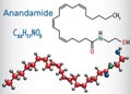 Anandamide molecule. It is endogenous cannabinoid neurotransmitter. Structural chemical formula and molecule model.