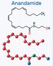 Anandamide molecule. It is endogenous cannabinoid neurotransmitter. Structural chemical formula and molecule model. Sheet